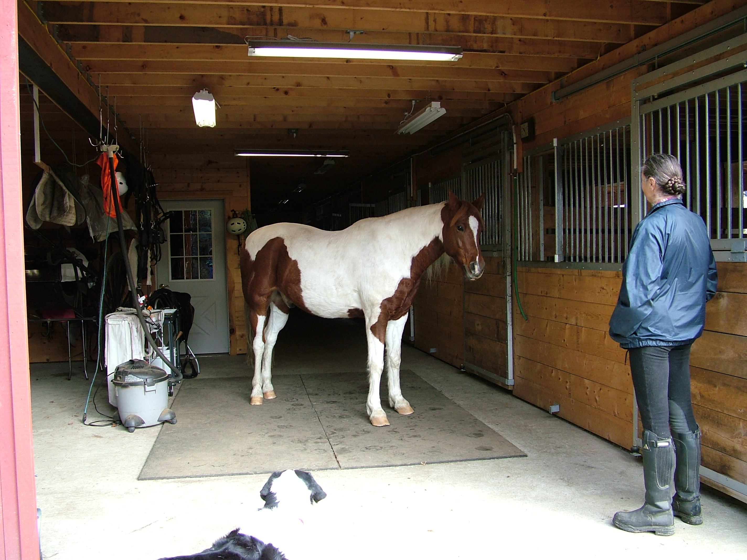 Description: Description: Description: cid:image011.jpg@01CCD7B5.6F5CD8F0