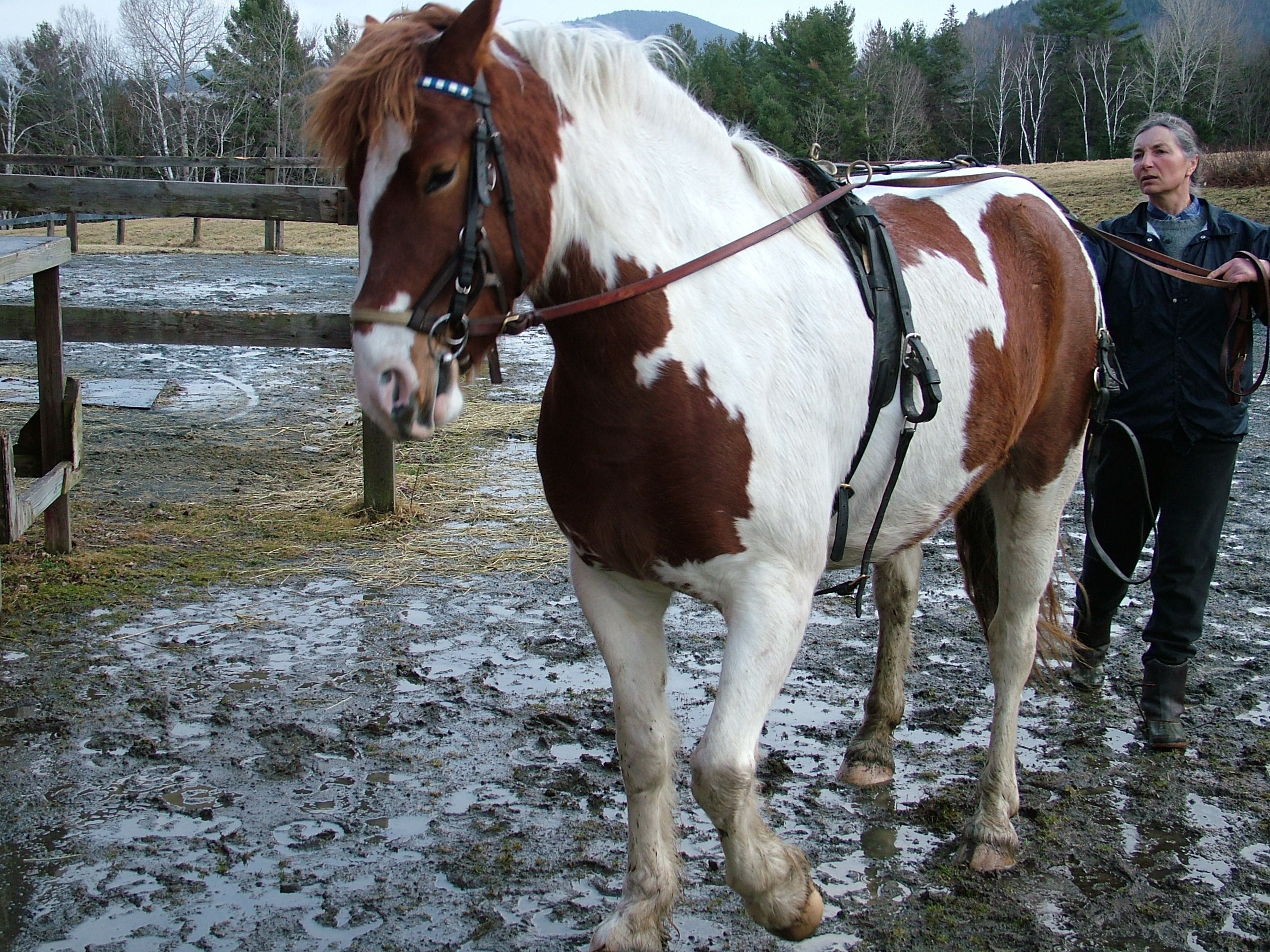 Description: Description: Description: cid:image025.jpg@01CCD7B5.6F5CD8F0