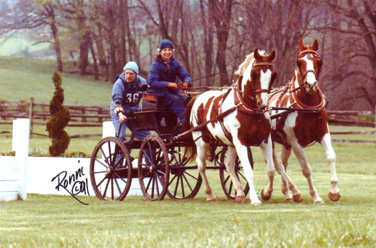 Description: Description: Description: Description: cid:image024.jpg@01CCD7B1.EB292FF0